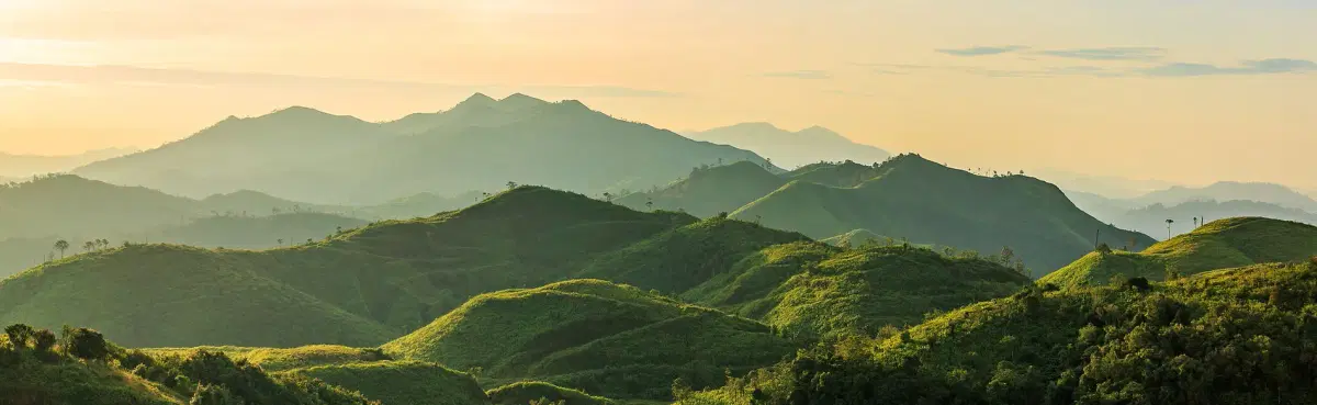 Experience Living and Working in Thailand Banner Image